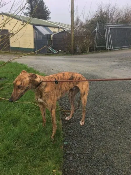 26943600 1635275586564038 1643099327 n 1