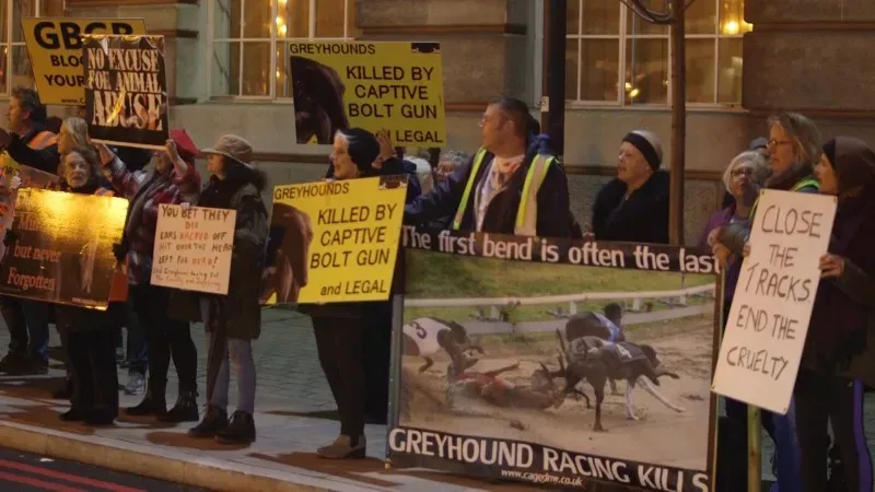 26962382 10156129429912628 7333729074003900715 o