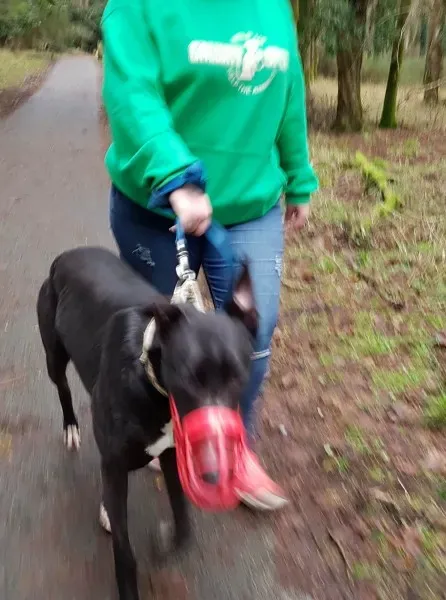 26981377 10213603197007816 572556005 o 1