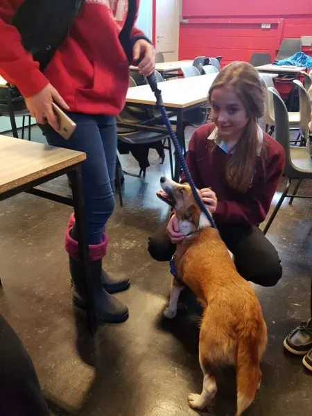 26993878 10156123058201255 4530947438775338266 n