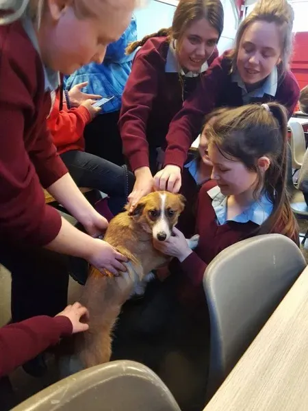 26994050 10156123057911255 2264660535273617124 n