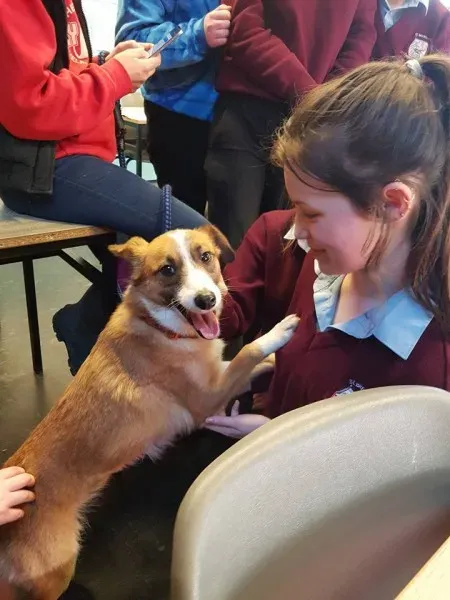 26994392 10156123056071255 1430357133035006544 n