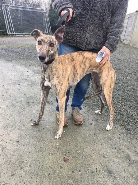 26994411 1635293296562267 2119881635 n