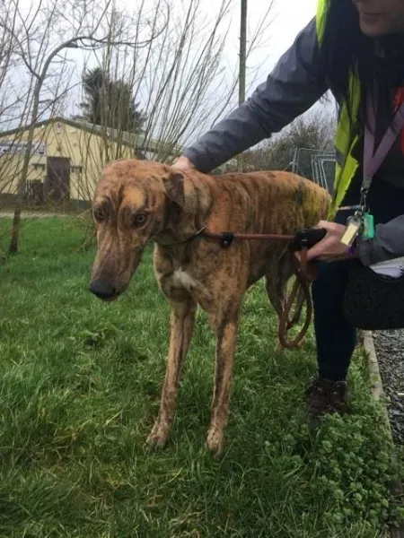 26994705 1635275466564050 1756179074 n 1