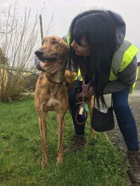 26994890 1635275366564060 935859432 n