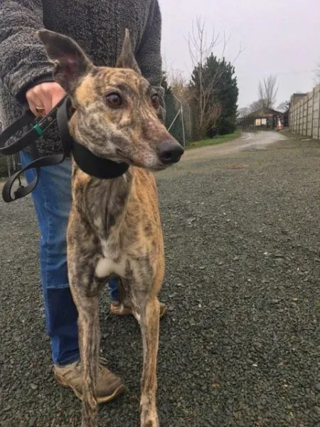 26995045 1635293286562268 289308930 n