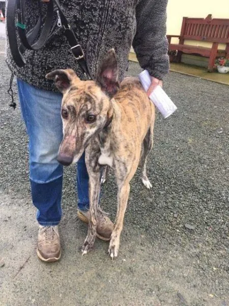 26996084 1635293249895605 336536514 n