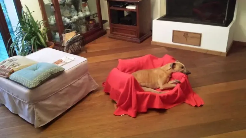 26bb521ffe37cf57bad629cfb63a8365