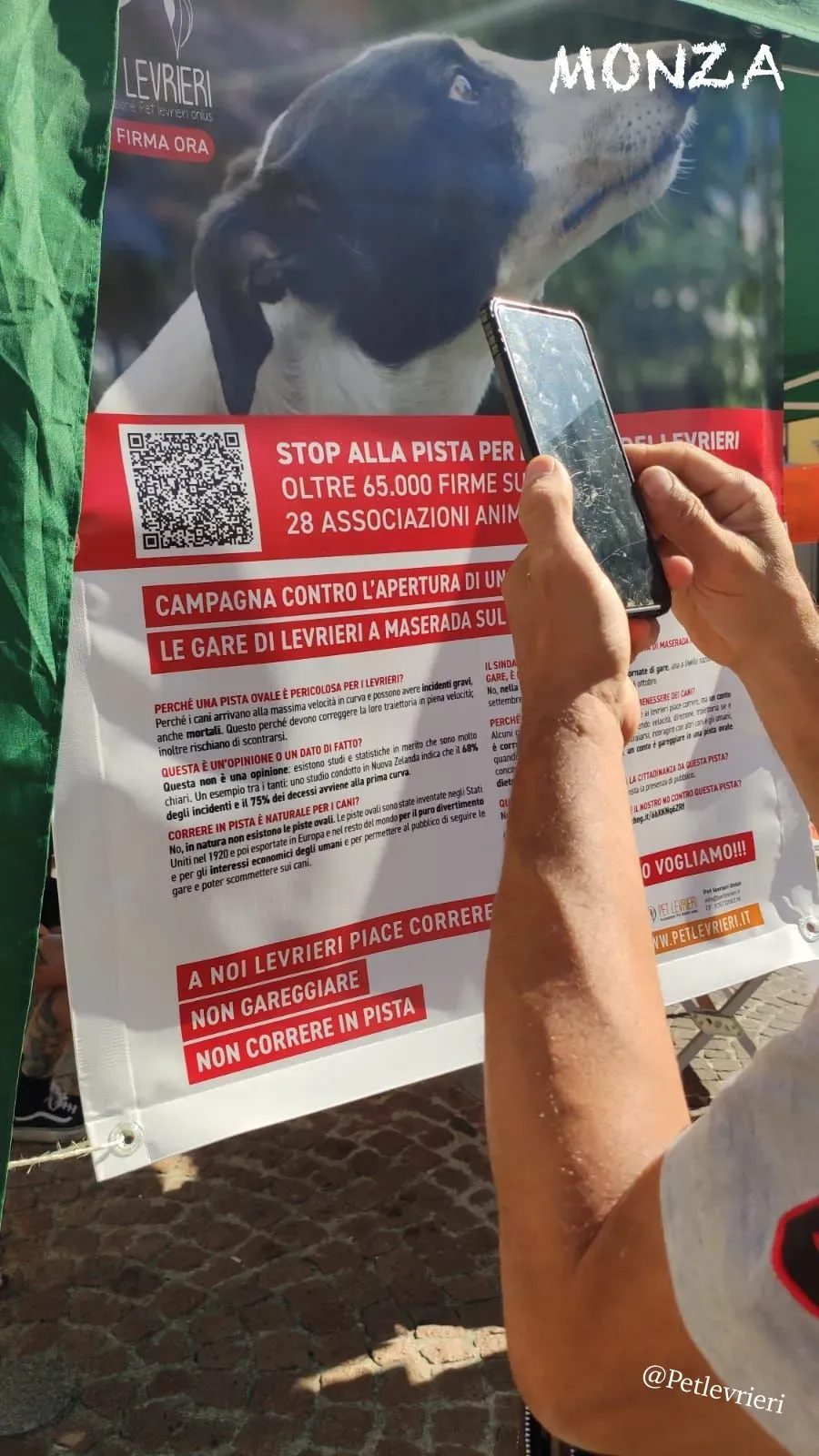 26fba8ee 082e 4acd 80a5 da68ab223146 risultato