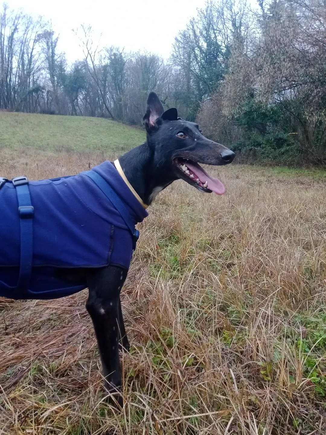 270014526 10228041281885136 4734515916106427402 n