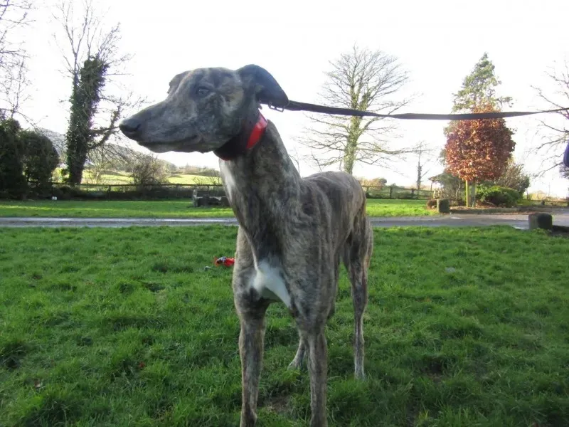 27018443 1637606779664252 841699893 o