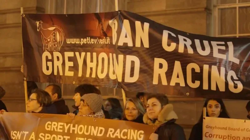 27023941 1488151534615968 1686181451547179865 o