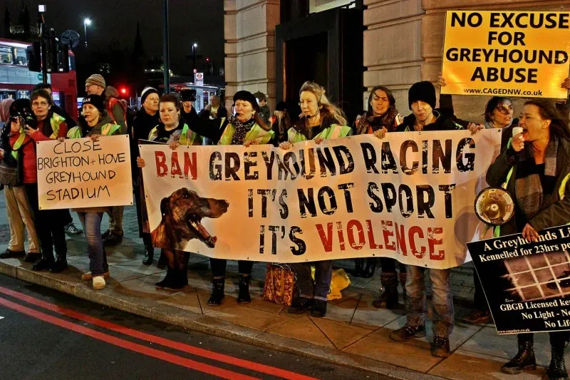 27023955 365153523957847 714180400326846426 o 1