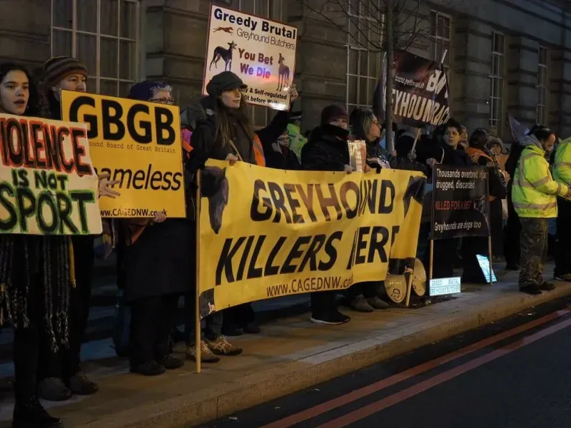 27024150 1572511649523631 3810658888127810319 o