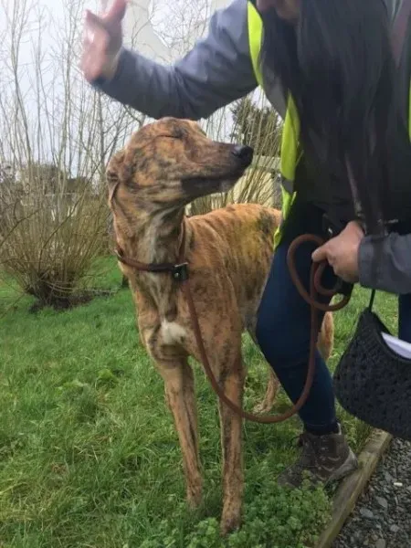 27042879 1635275459897384 426715833 n 1