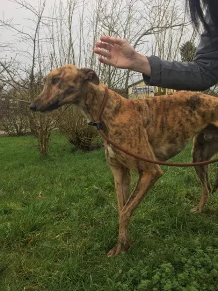 27044952 1635275583230705 520810863 n 1