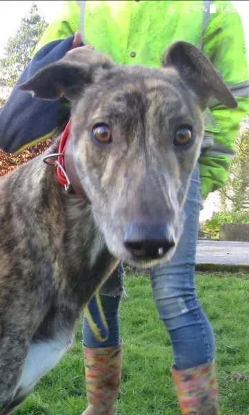 27046681 1637606492997614 774358850 o