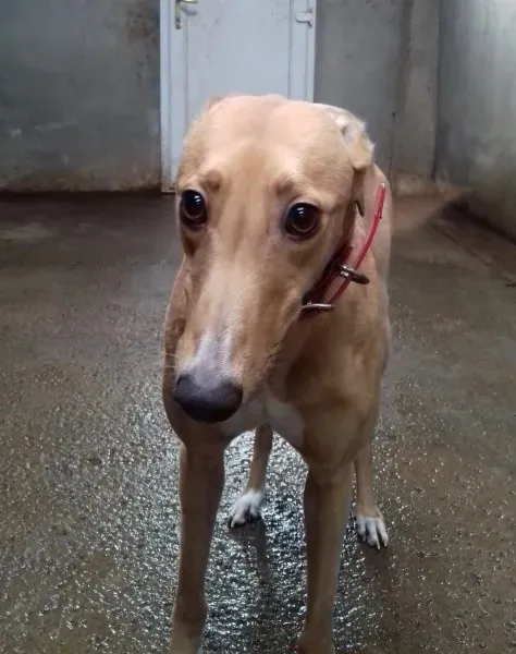 27046967 1637610362997227 708241882 o