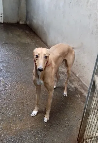 27047396 1637610542997209 87591907 o