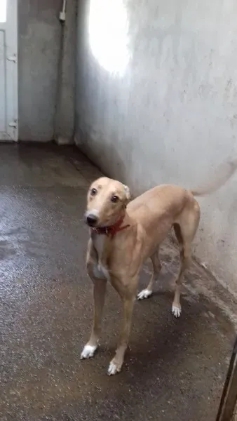 27048477 1637610536330543 1993482484 o