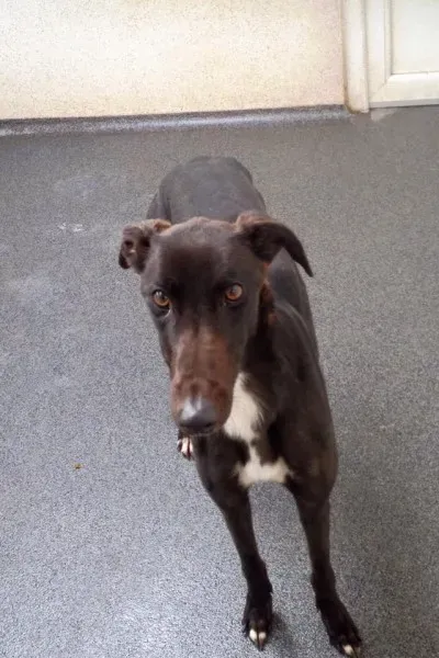 27067434 10210339139147013 6054518306426094269 n