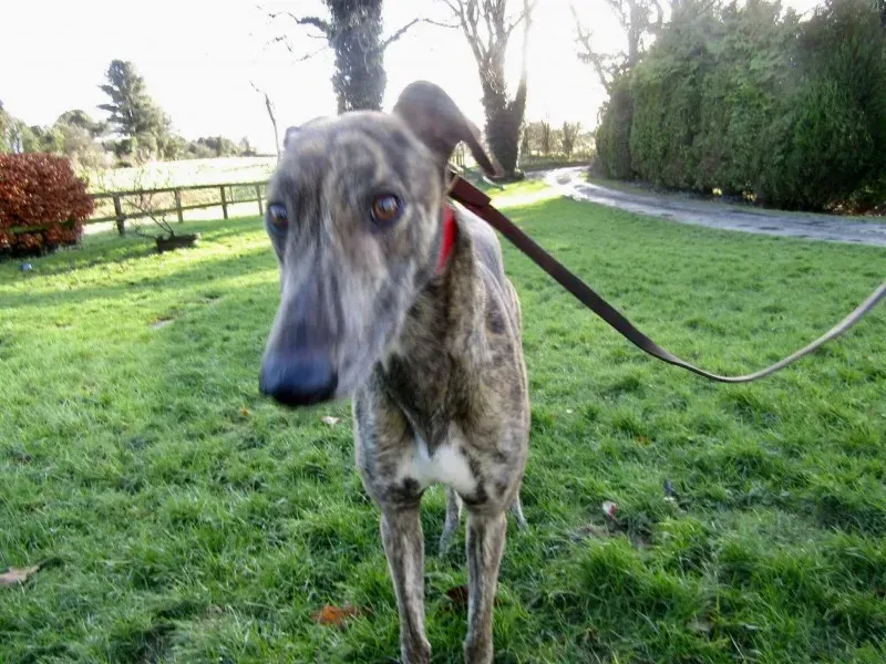 27140165 1637606926330904 1306915301 o