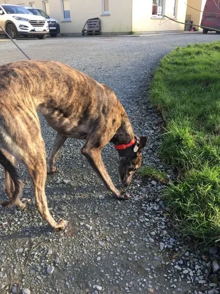 27144518 10154955425115194 1507541998 o