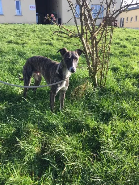 27144579 10154955437460194 1052965542 o