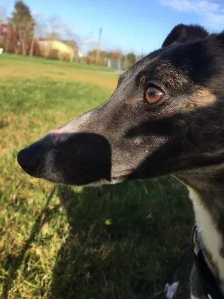 27144597 10154955437310194 1005437767 o