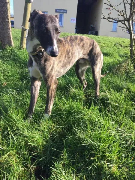 27144604 10154955437750194 1579811297 o