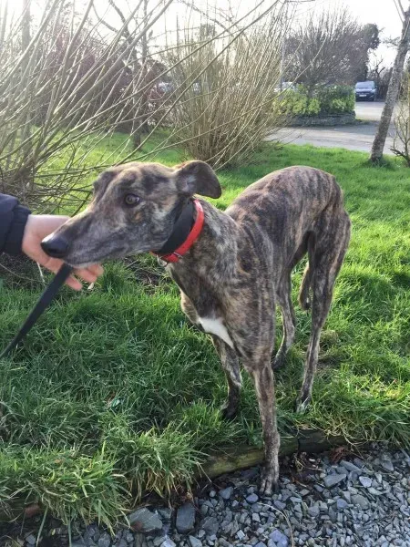 27144772 10154955425255194 495715208 o