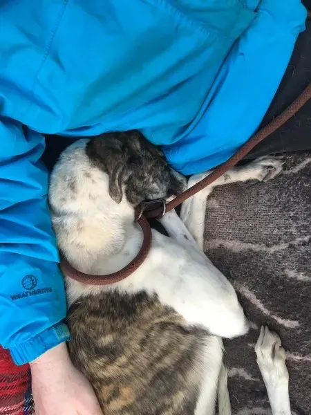 27144907 10154955933365194 399242593 o