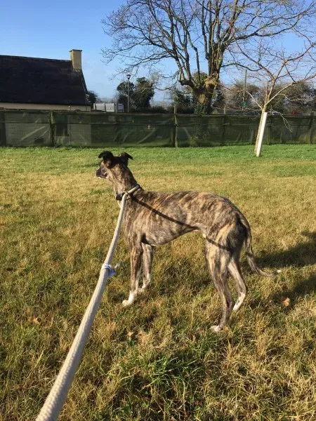 27145137 10154955437335194 1559511520 o