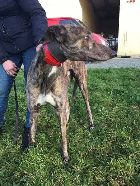 27145220 10154955423515194 1599706981 o