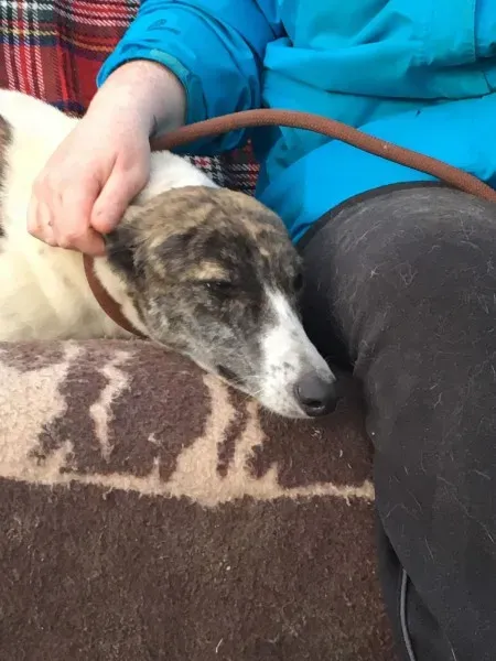 27145265 10154955948895194 860075291 o