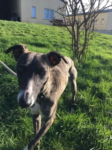 27145401 10154955437805194 416388954 o