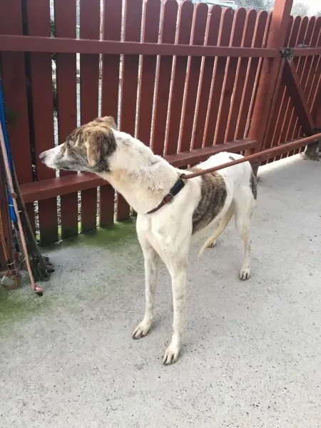 27145451 10154955929490194 163495492 o