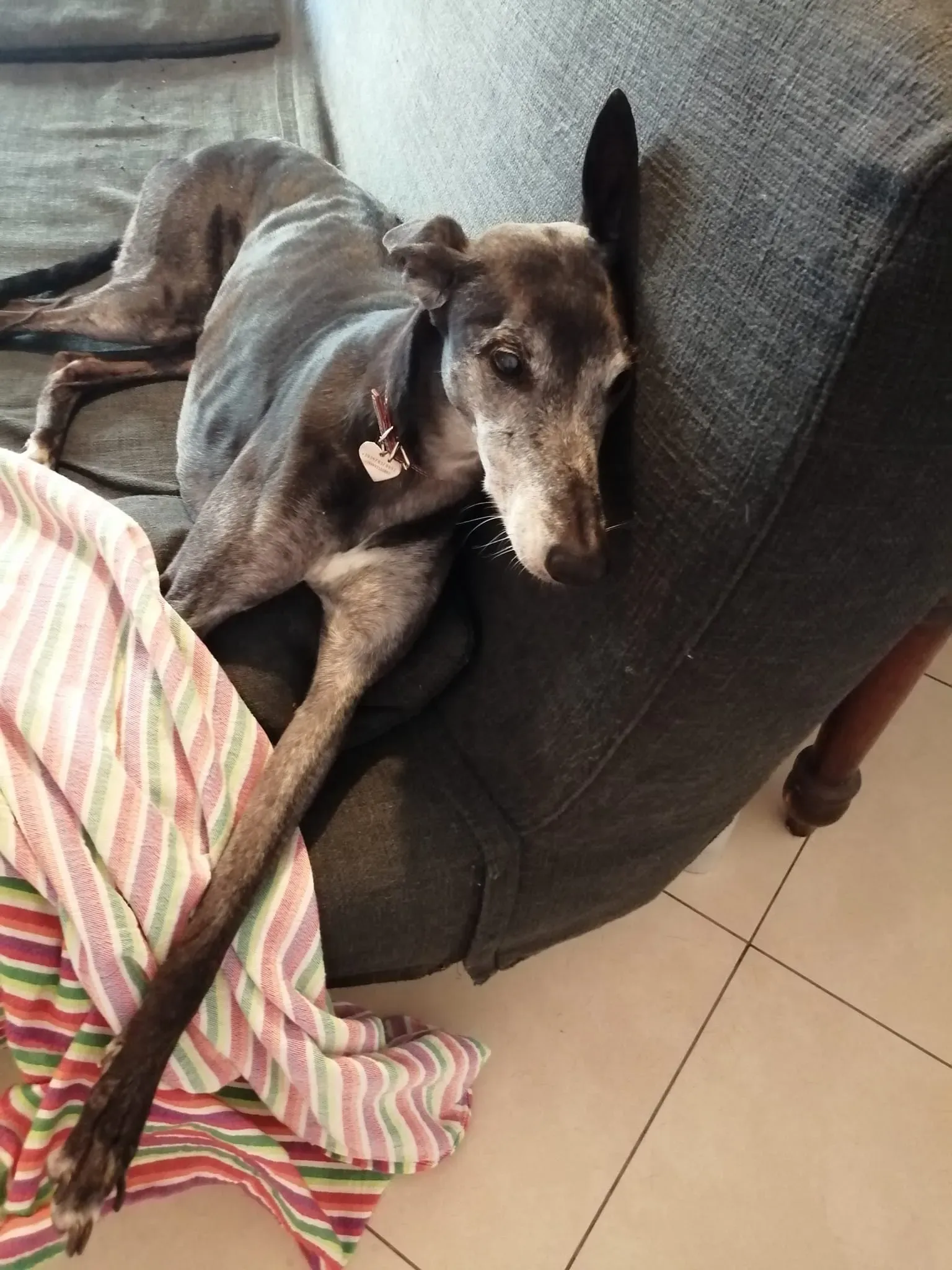 271604543 10224192892987859 4559264239907628856 n