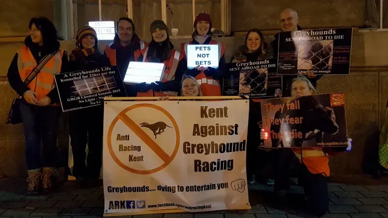 27164340 380678662394242 416594942951926478 o