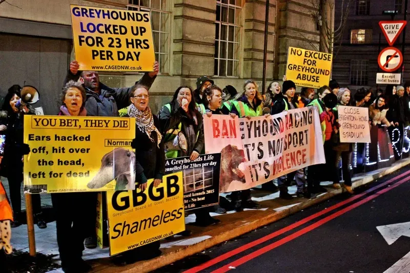 27164456 365153257291207 4868281897430245578 o