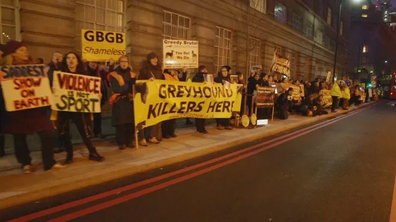 27164643 10156130320617628 7001586454035375397 o