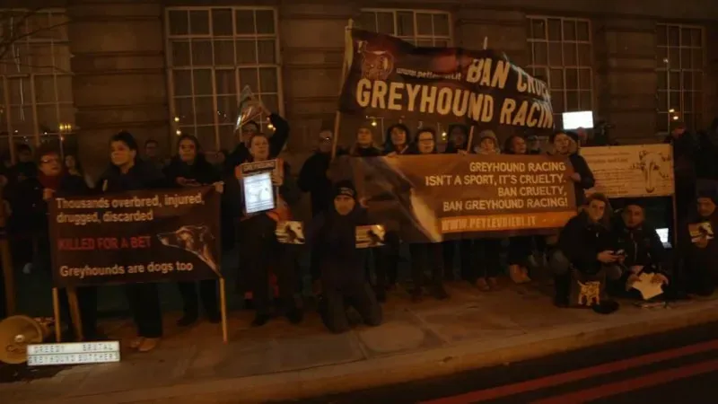 27164676 1488151571282631 7027141612949095878 o