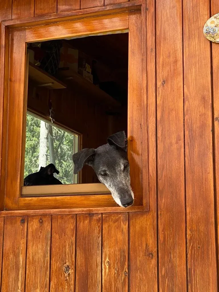 271698869 10224192895187914 4843000688078822750 n