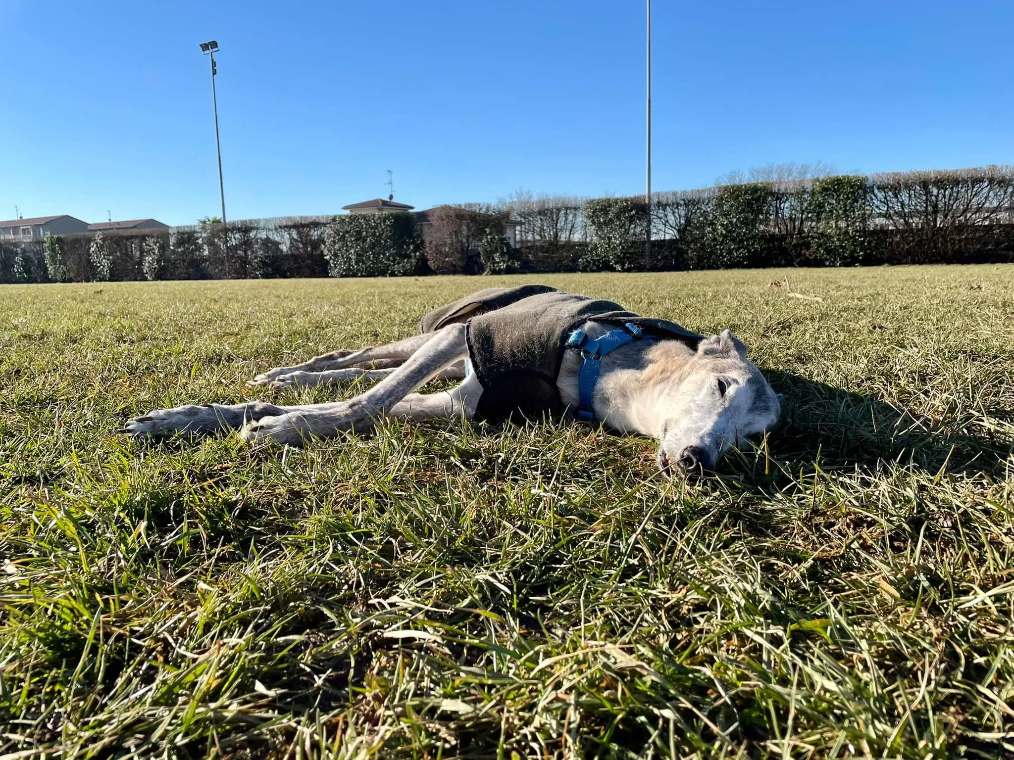 271871276 3111801075734041 7764534599845705745 n