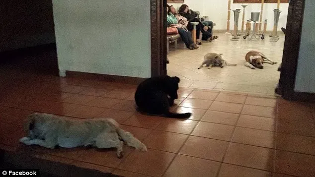 271F2A8100000578 3017369 image a 48 1427675469870