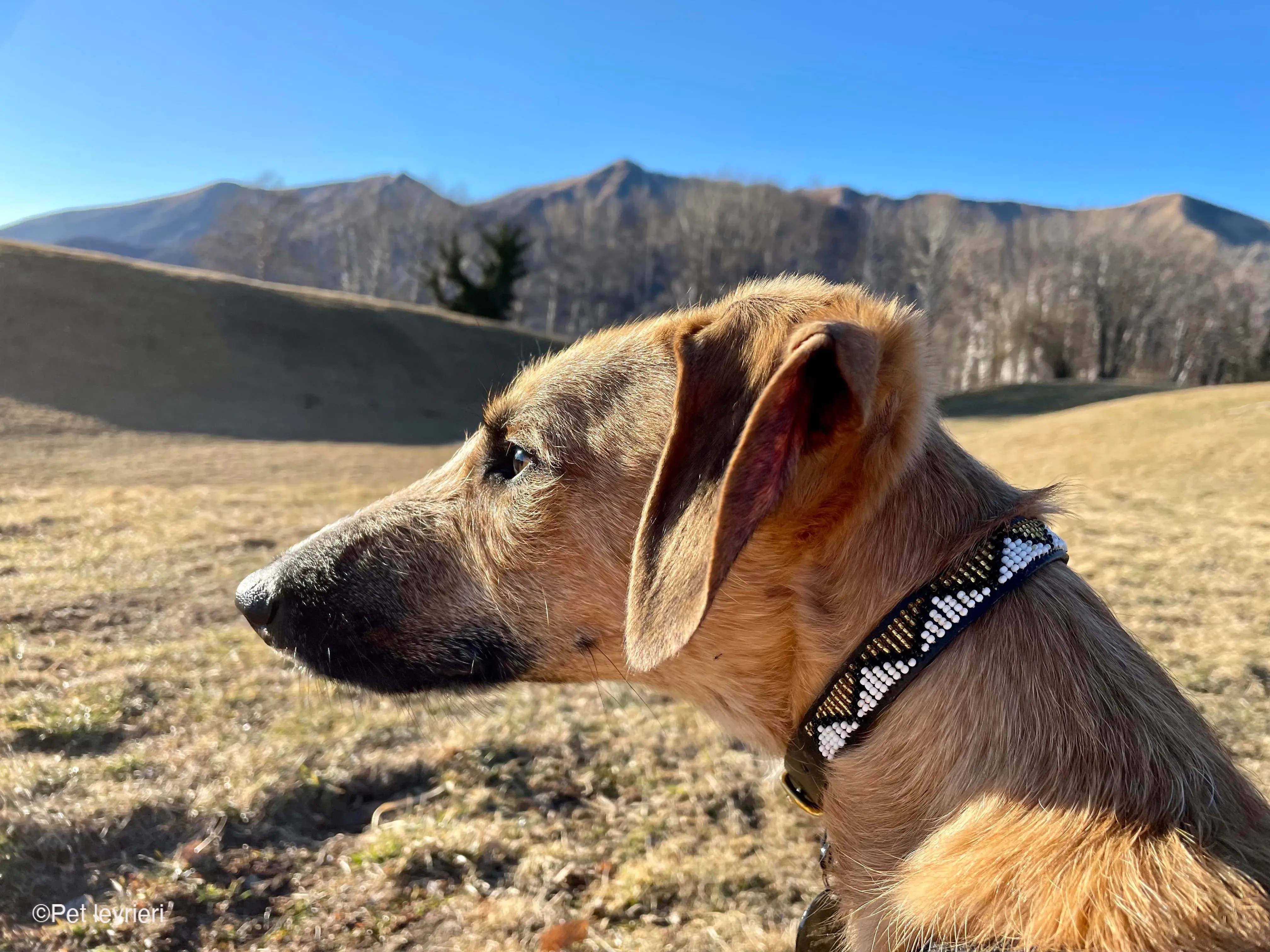 272971589 655725505627625 4620650253878313058 n