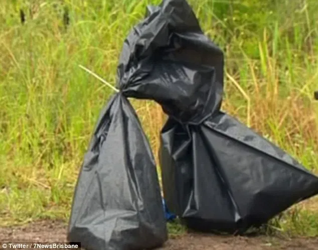 2731BAFC00000578 3021205 image m 7 1427883068902