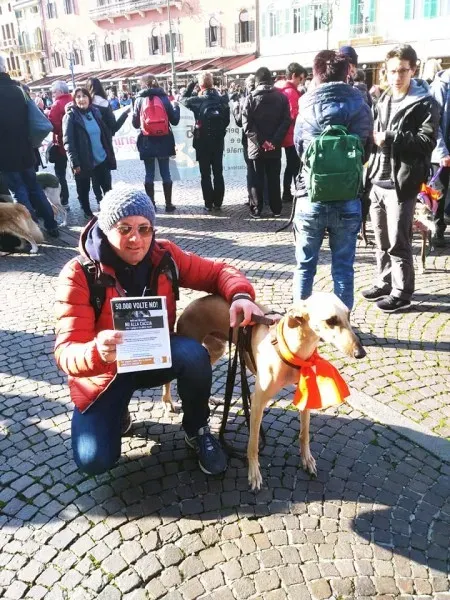 27332722 1796024620698989 5576098492948132713 n