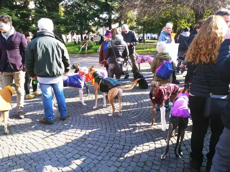 27336281 1796024334032351 7030821036737441969 n