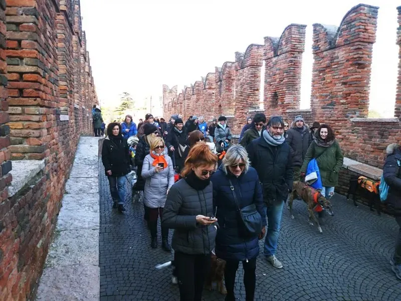 27336546 1796024097365708 2291380455999590524 n